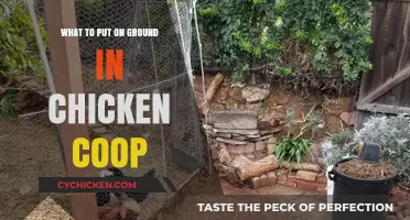 Essential Ground Coverings for a Happy and Healthy Chicken Coop