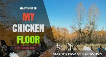 Best Bedding Options for a Clean and Healthy Chicken Coop Floor