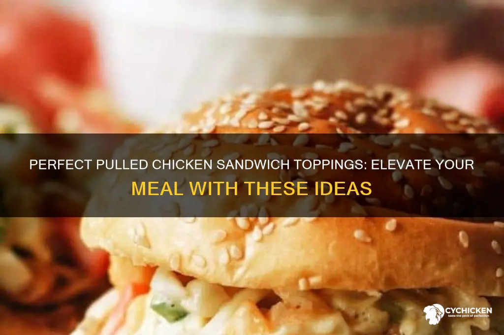 what to put on pulled chicken sandwich