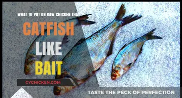 Catfish Bait Secrets: Top Raw Chicken Seasonings for Big Catches