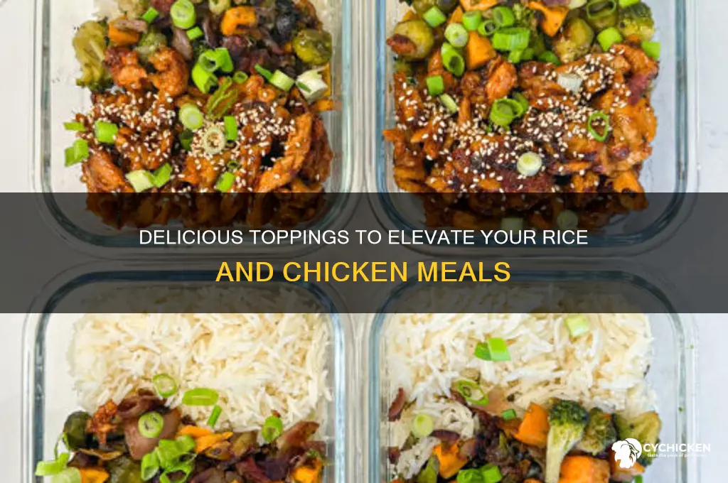 what to put on rice and chicken