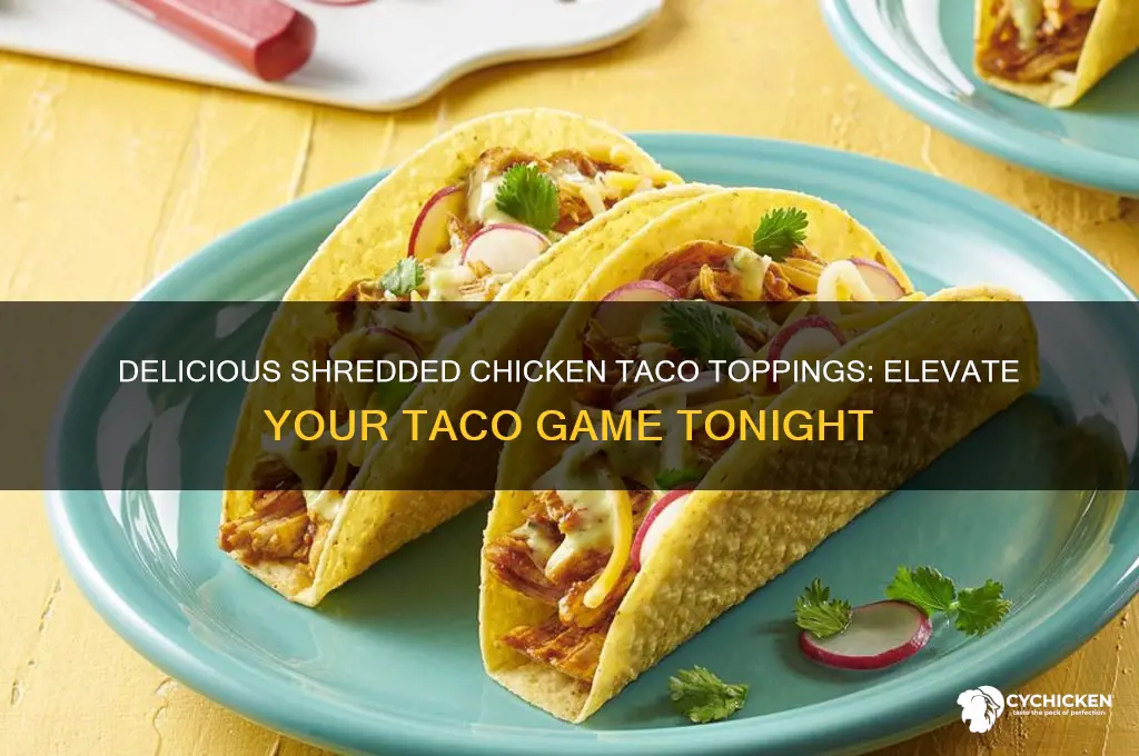 what to put on shredded chicken tacos