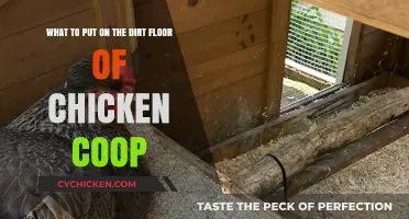 Cozy Coop: Best Bedding Options for Your Chicken's Dirt Floor