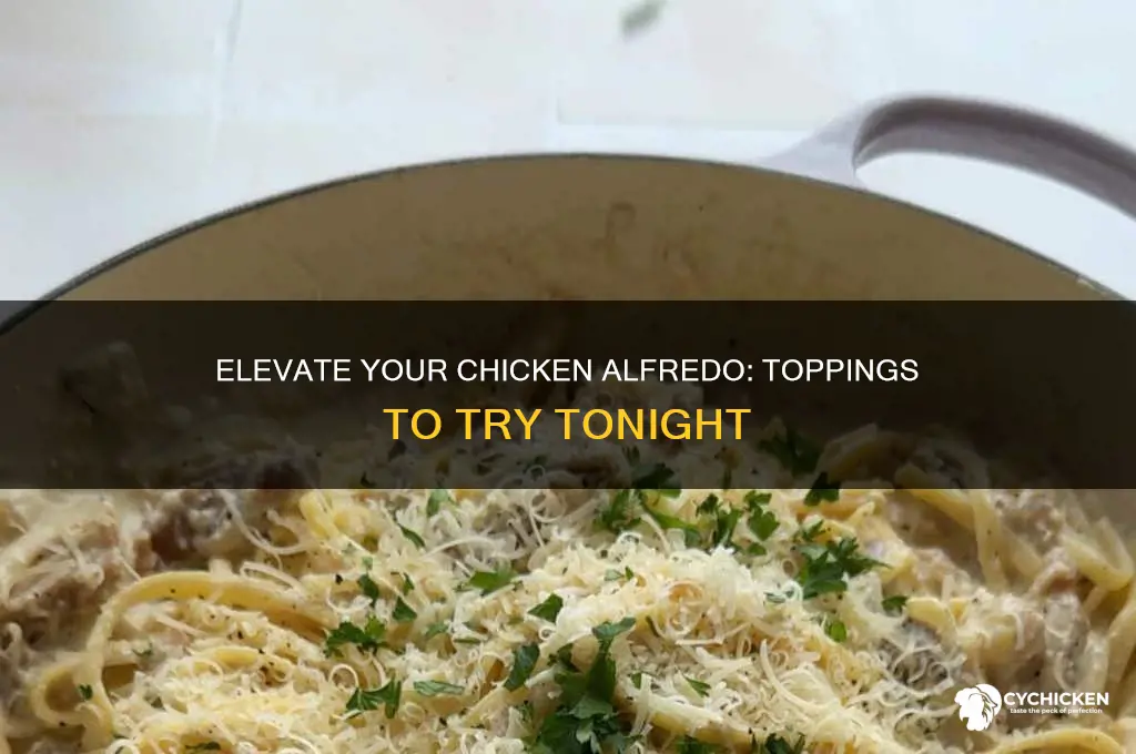 what to put on top of chicken alfredo