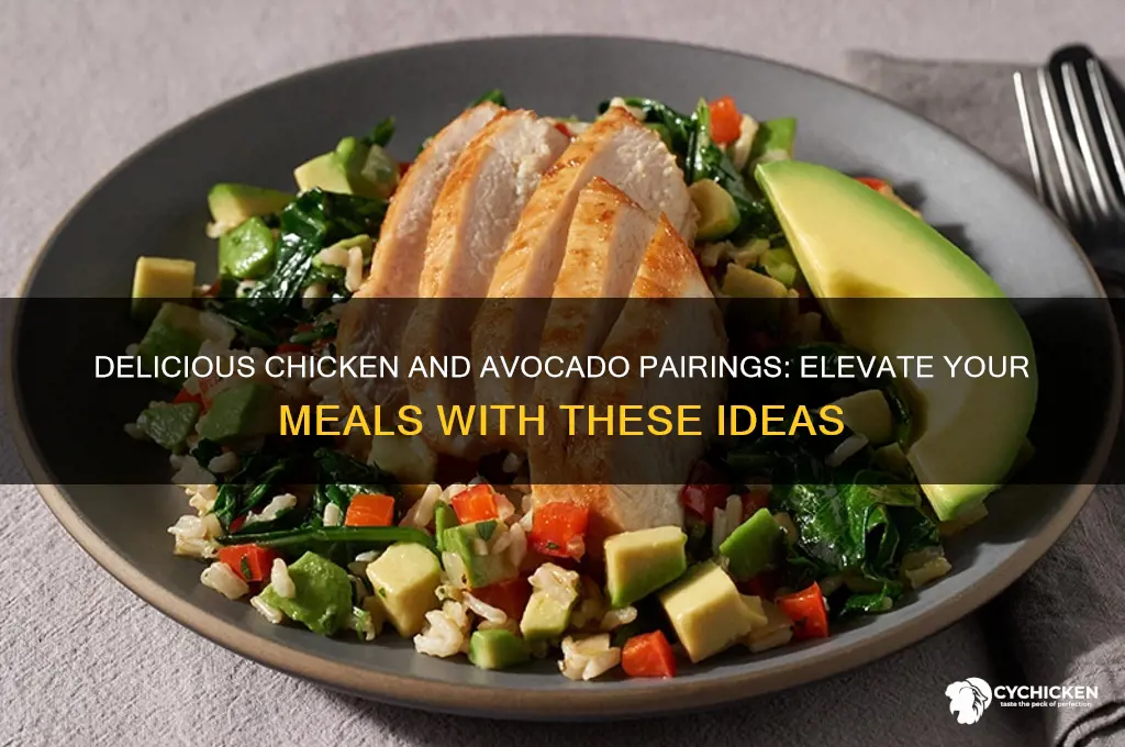 what to put with chicken and avocado
