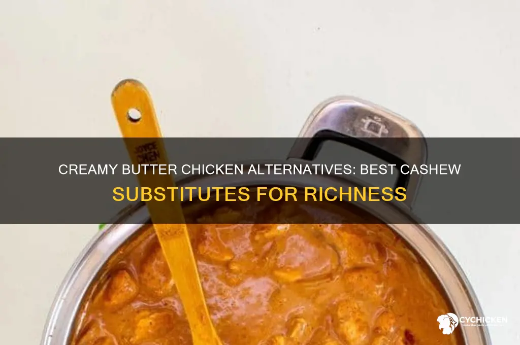 what to replace cashews with in butter chicken