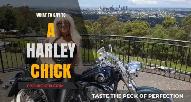 Charming a Harley Chick: Tips for Engaging Conversations on the Road
