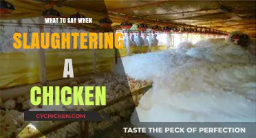 Compassionate Words for Humane Chicken Slaughter: A Guide for Farmers