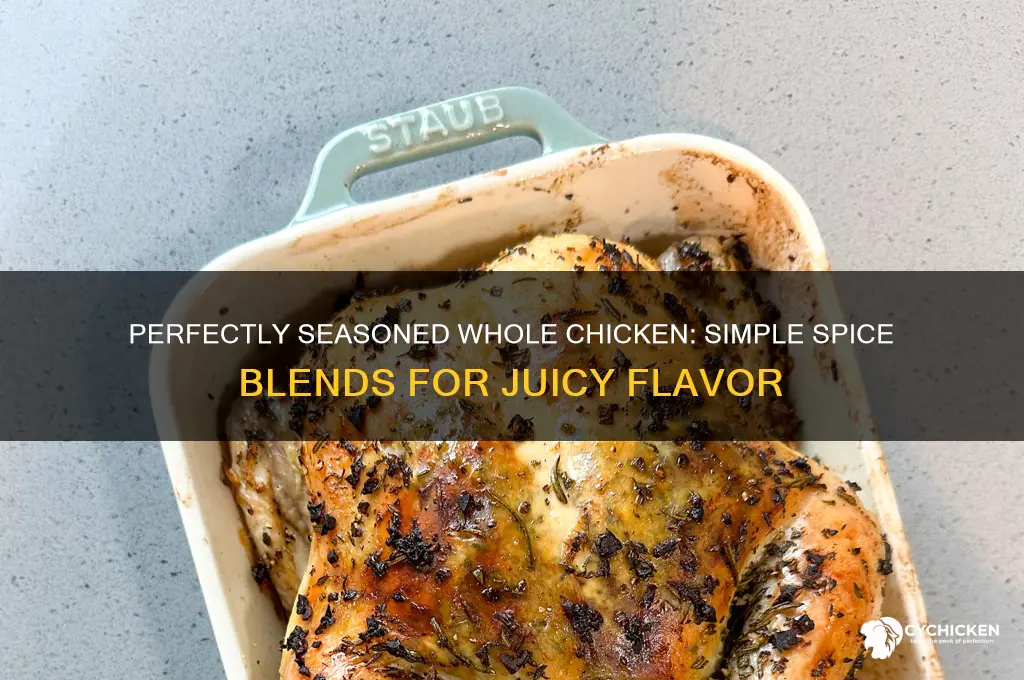 what to season a full chicken with