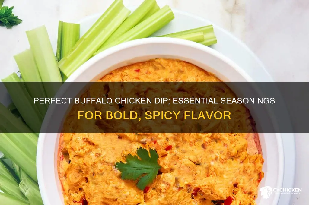 what to season buffalo chicken dip with