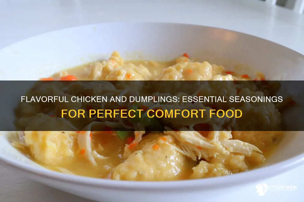 what to season chicken and dumplings with