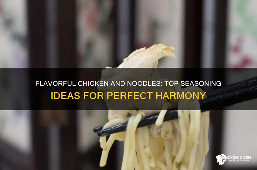 what to season chicken and noodles with