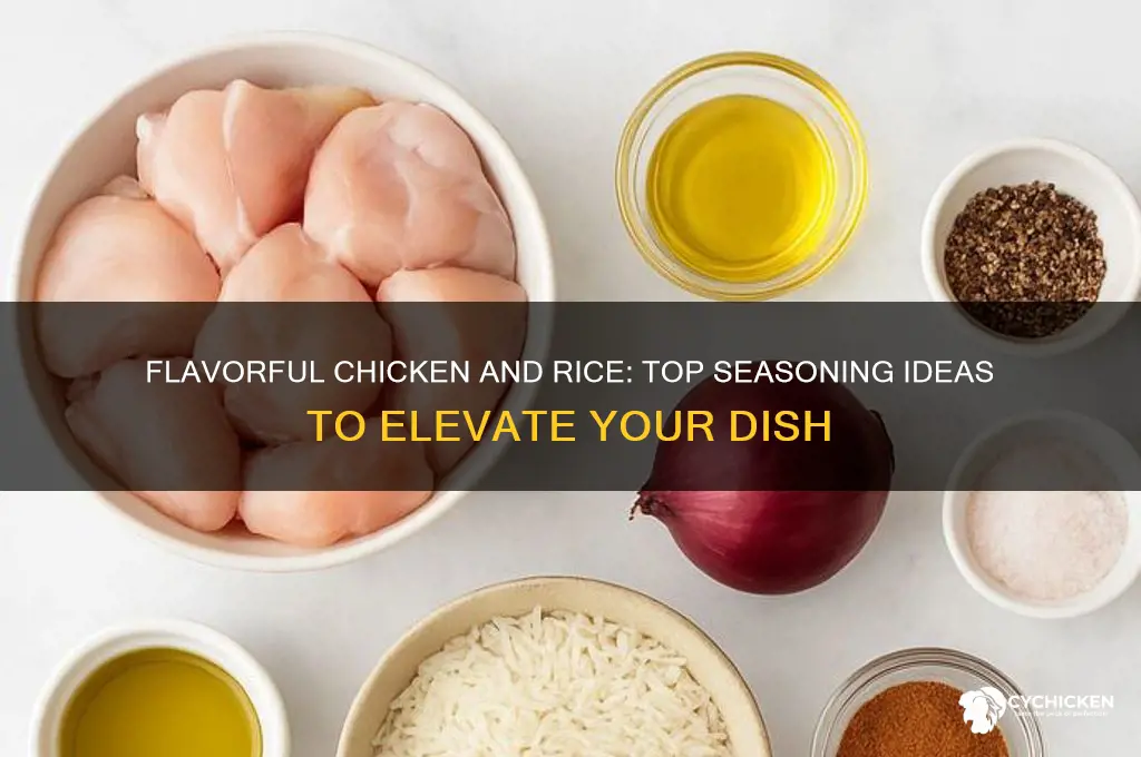 what to season chicken and rice with