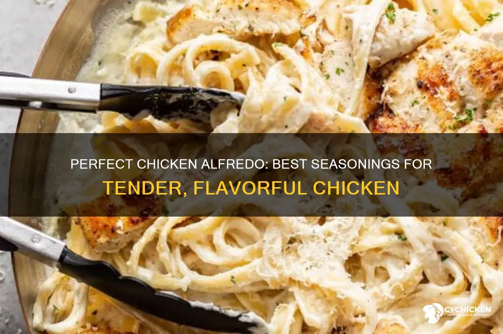 what to season chicken for chicken alfredo with