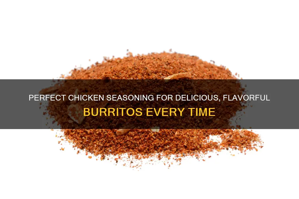 what to season chicken with for burritos