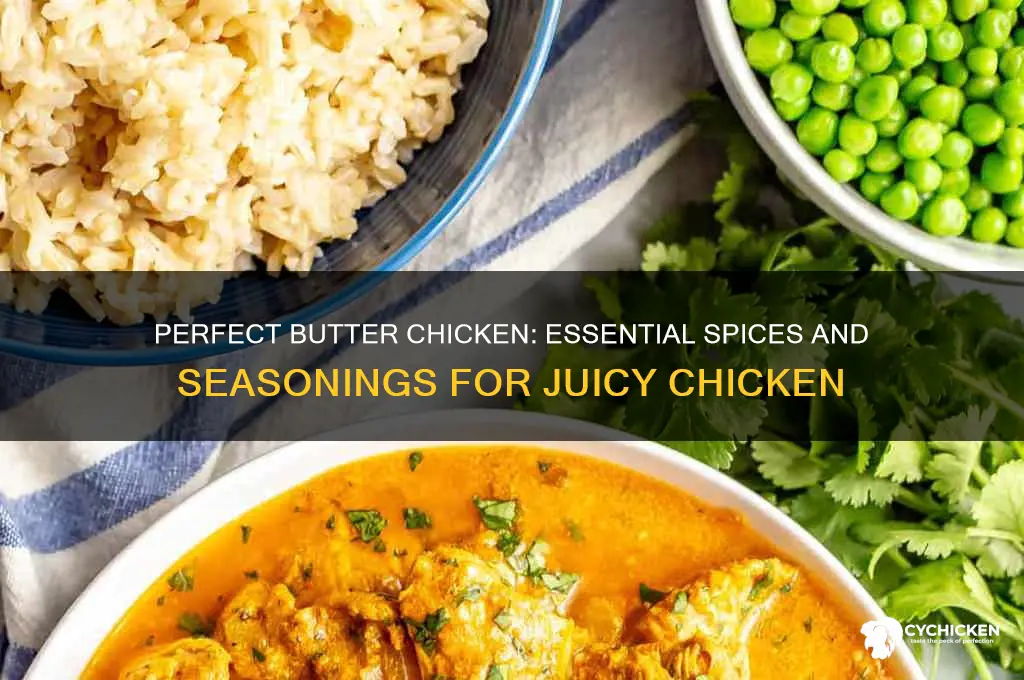 what to season chicken with for butter chicken