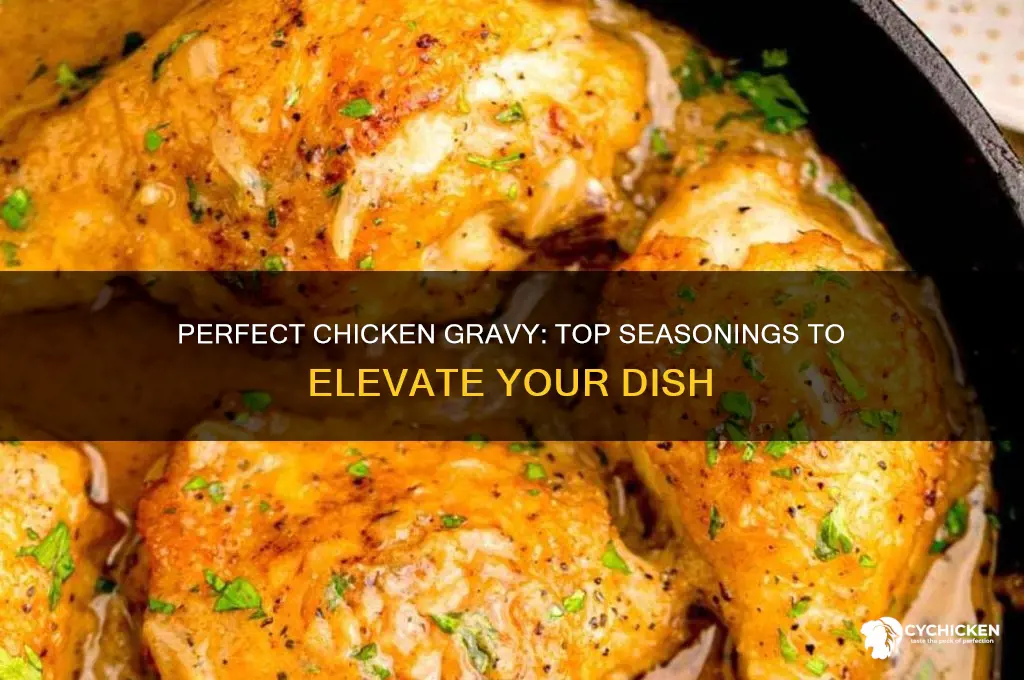 what to season chicken with for chicken gravy