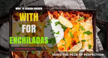 Perfect Chicken Seasoning for Delicious and Authentic Enchiladas Every Time