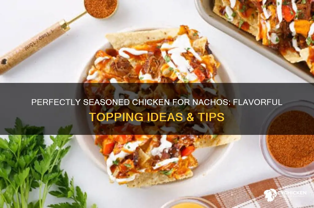 what to season chicken with for nachos