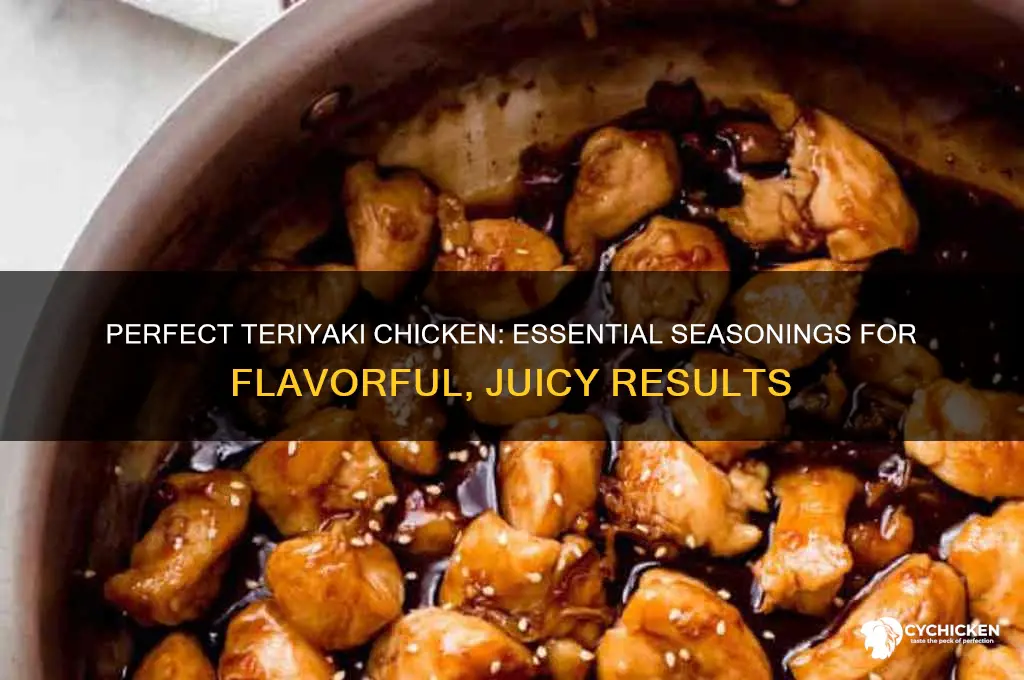 what to season chicken with for teriyaki chicken