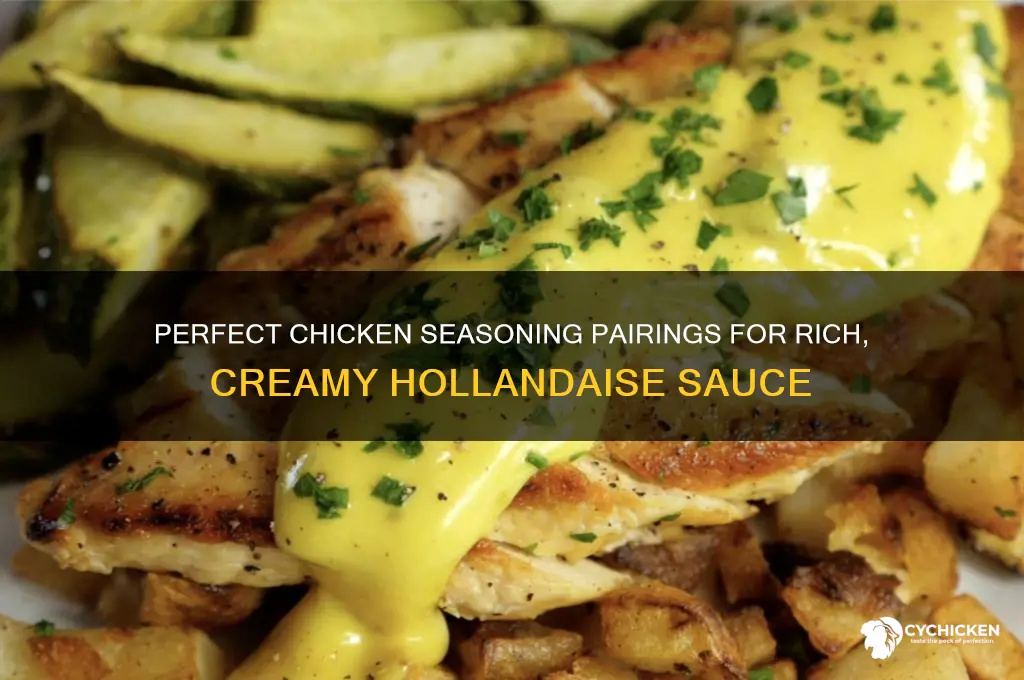 what to season chicken with with hollandaise sauce