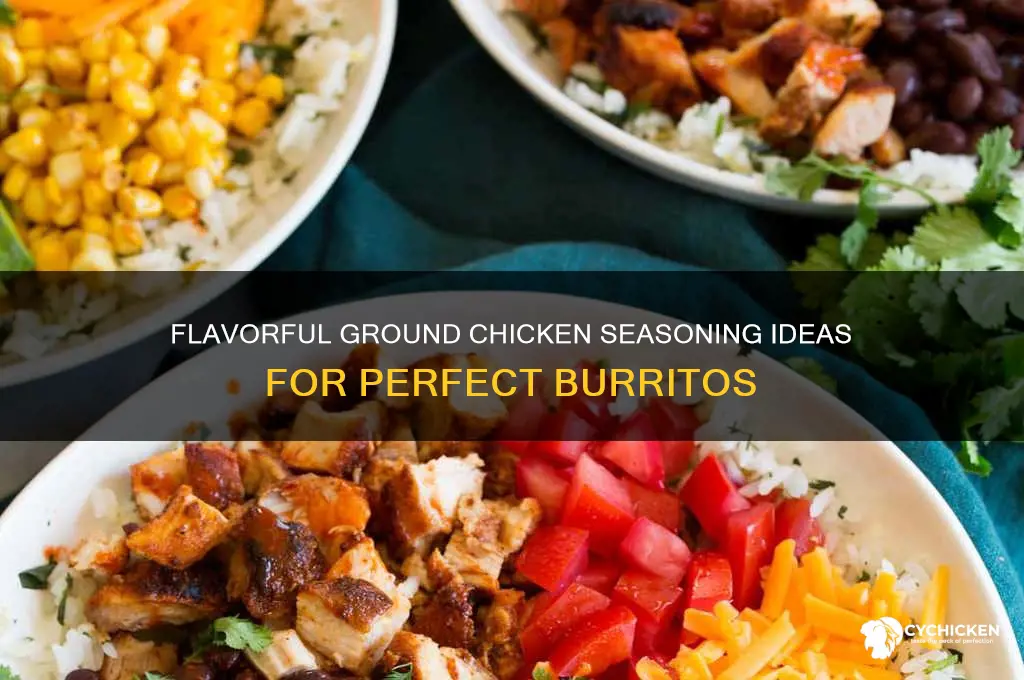 what to season ground chicken with for burritos