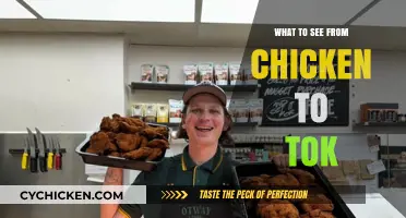 From Chicken to Tok: Exploring the Must-See Sights Along the Way