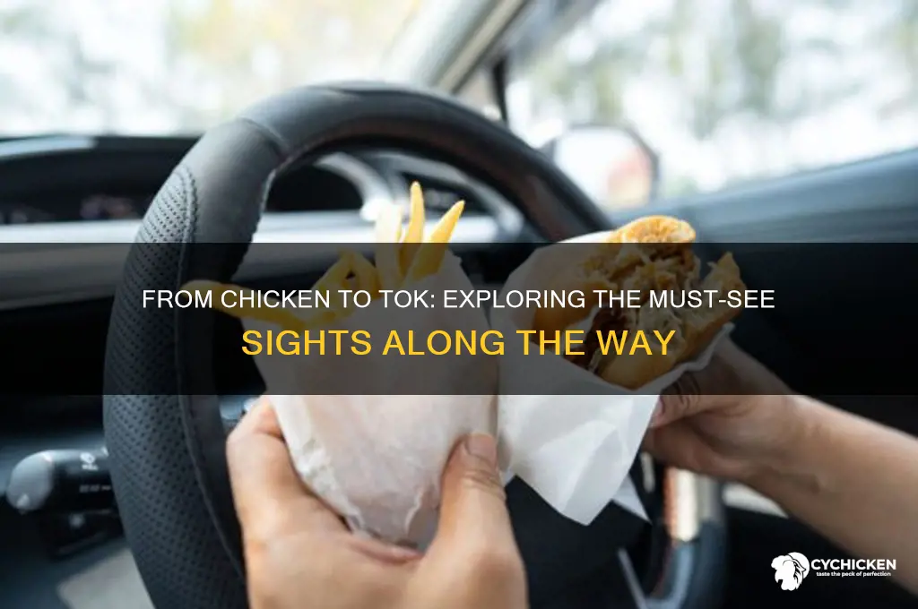 what to see from chicken to tok