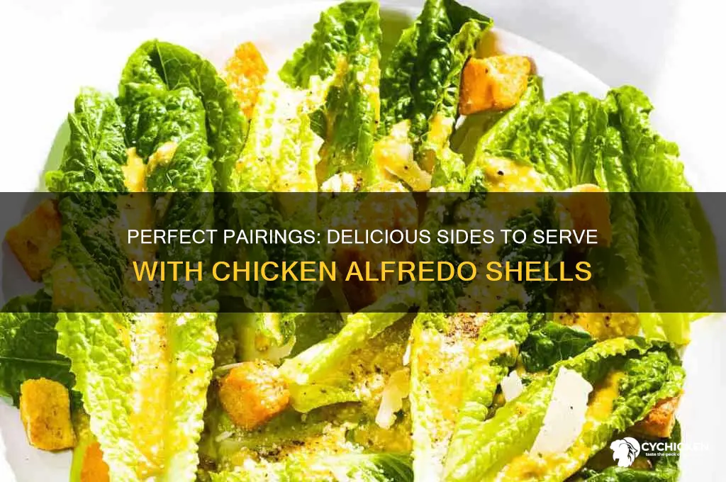 what to serce with chicken alfredo shells