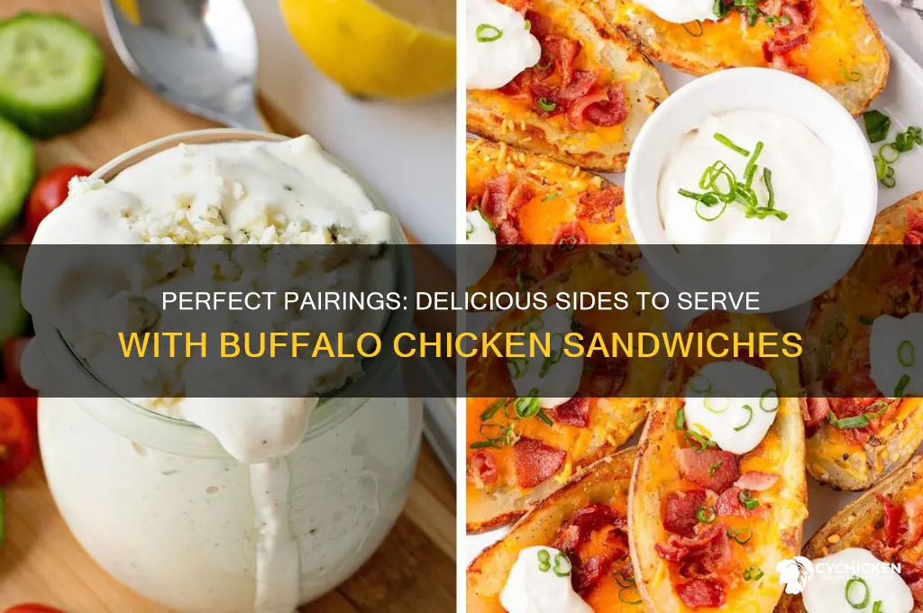 what to serve with buffalo chicken sandwiches
