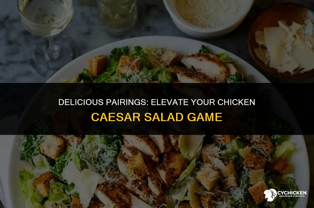 what to serve with chicken cesar salad