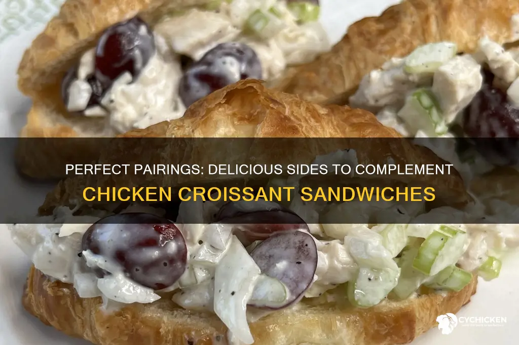 what to serve with chicken croissant sandwiches