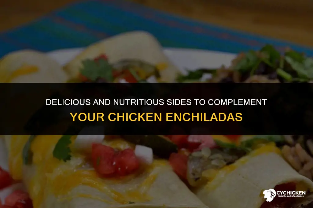 what to serve with chicken enchiladas healthy