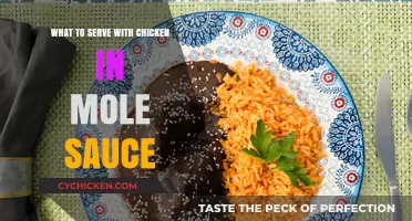 Perfect Pairings: Delicious Sides to Complement Chicken in Mole Sauce