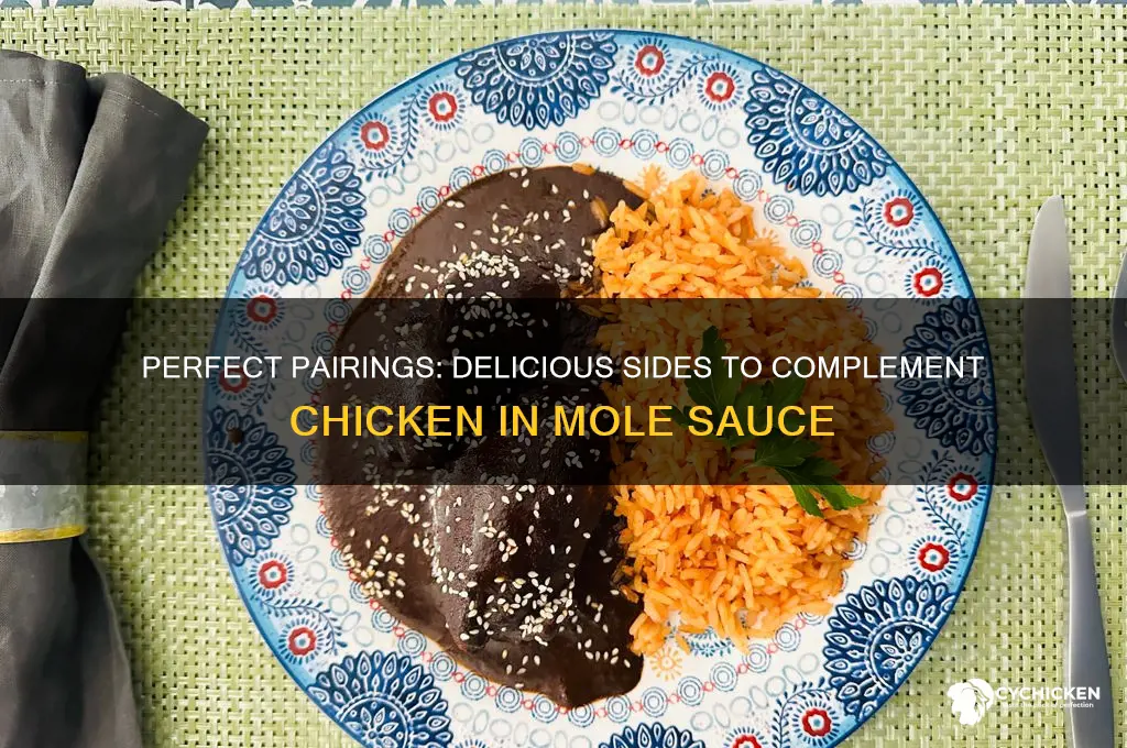 what to serve with chicken in mole sauce