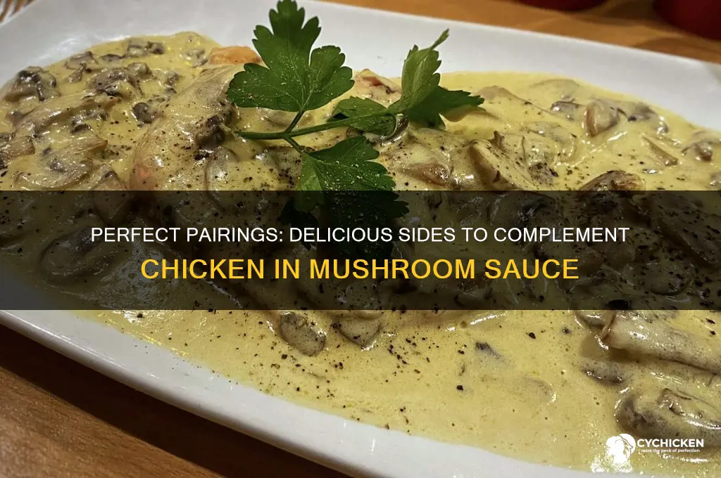 what to serve with chicken in mushroom sauce