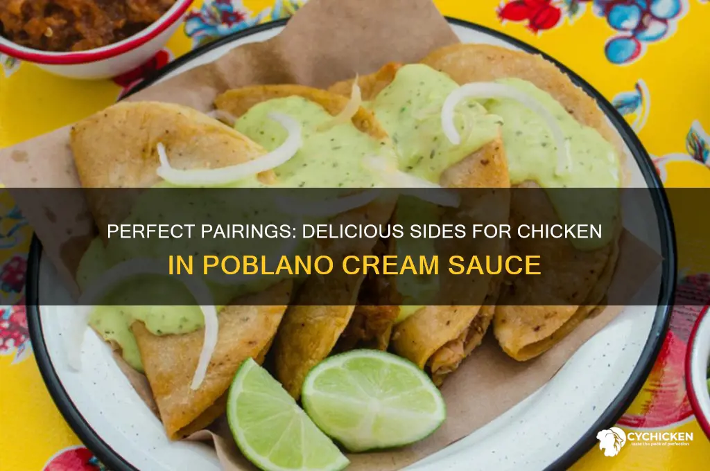 what to serve with chicken in pobalno cream sauce