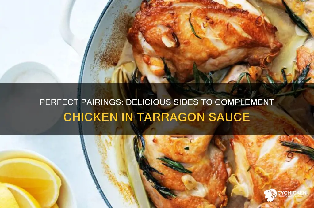 what to serve with chicken in tarragon sauce