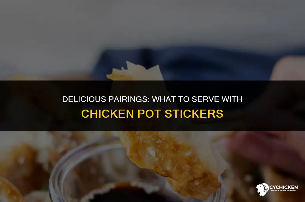 what to serve with chicken pot stickers