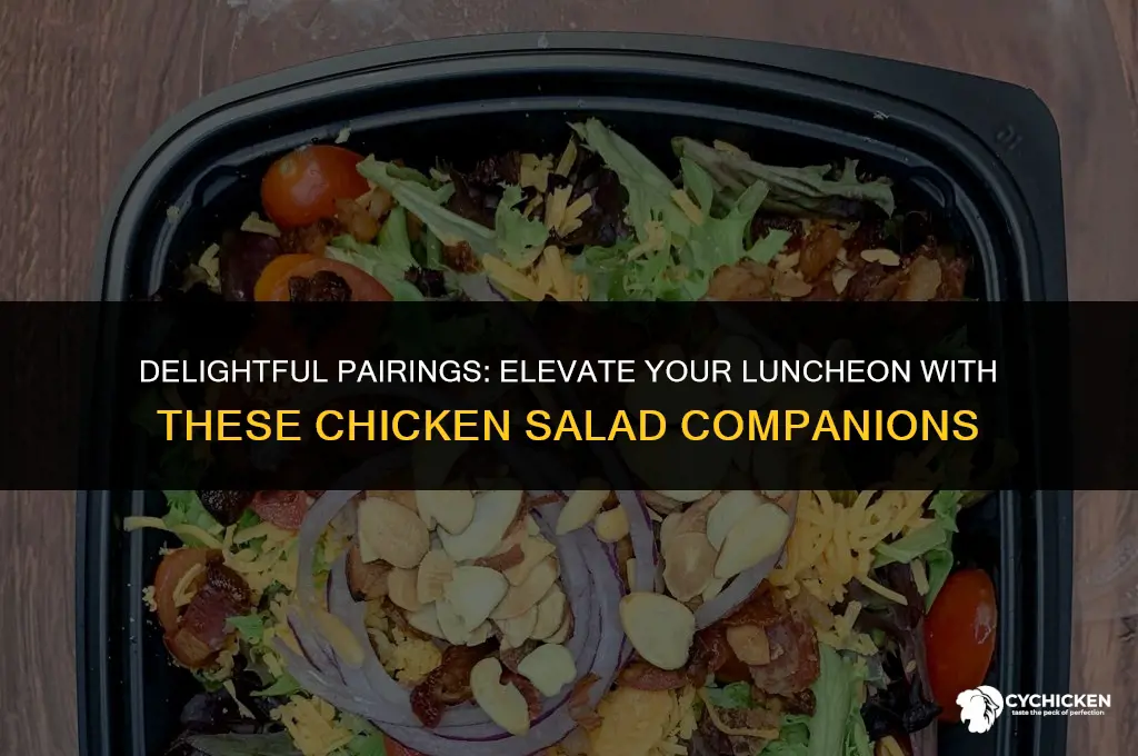 what to serve with chicken salad for a luncheon
