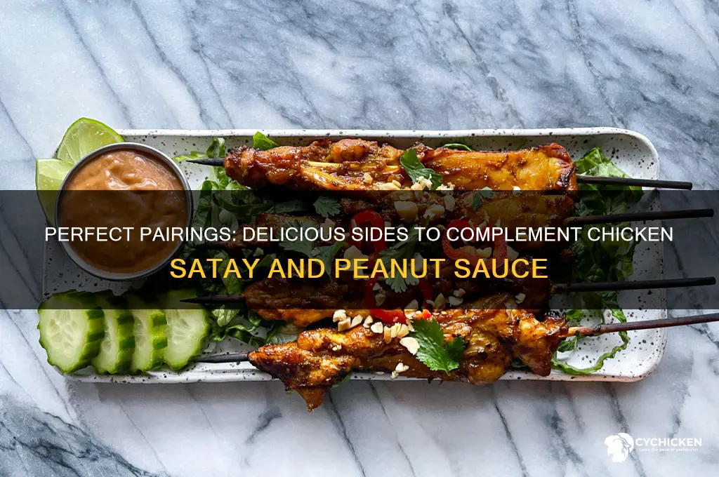 what to serve with chicken satay and peanut sauce