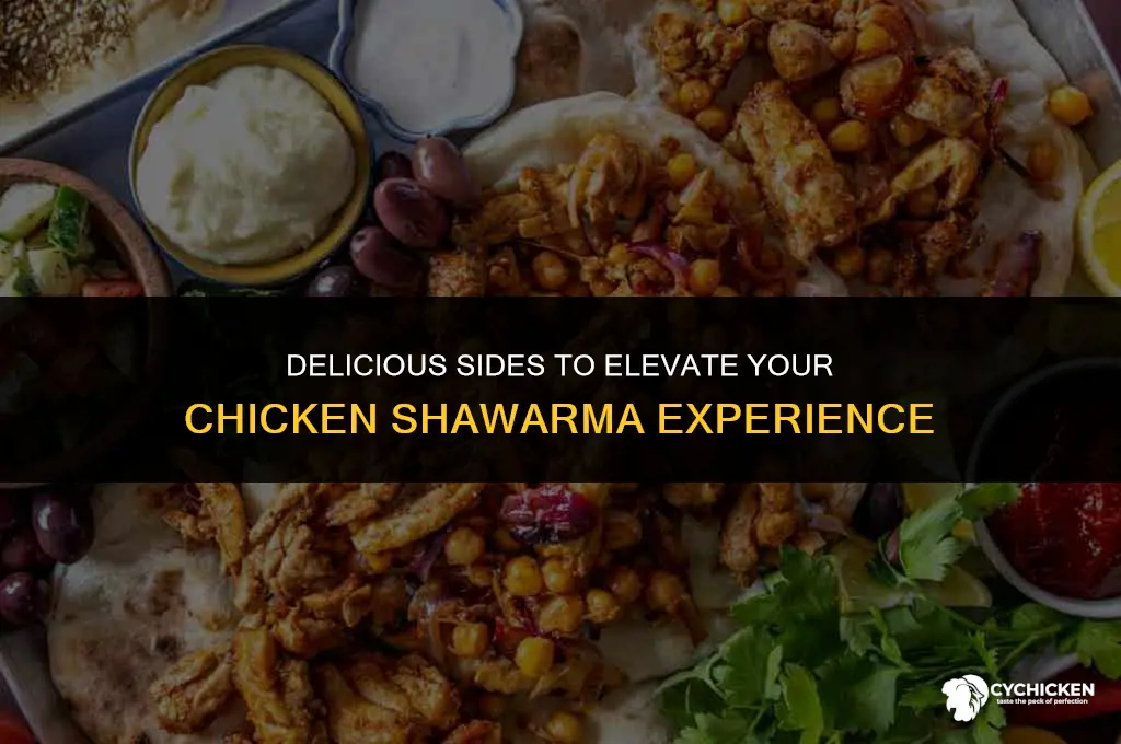 what to serve with chicken swarma