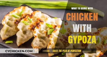 Delicious Dishes to Pair with Chicken and Gyoza