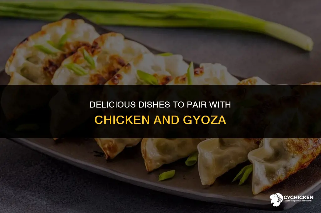 what to serve with chicken with gypoza