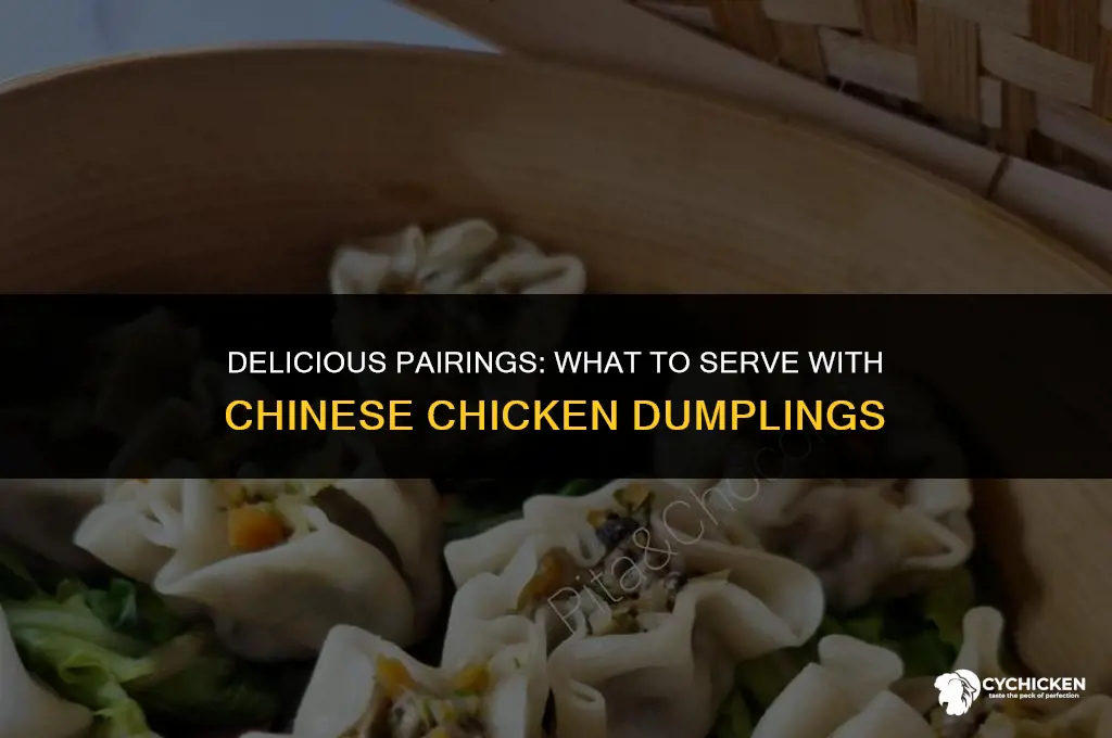what to serve with chinese chicken dumplings