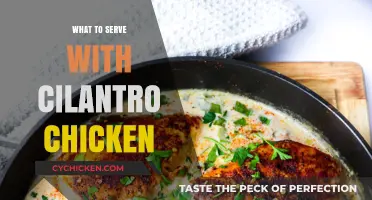 Delicious Pairings: What to Serve with Cilantro Chicken