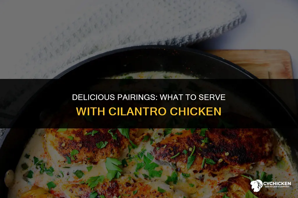 what to serve with cilantro chicken