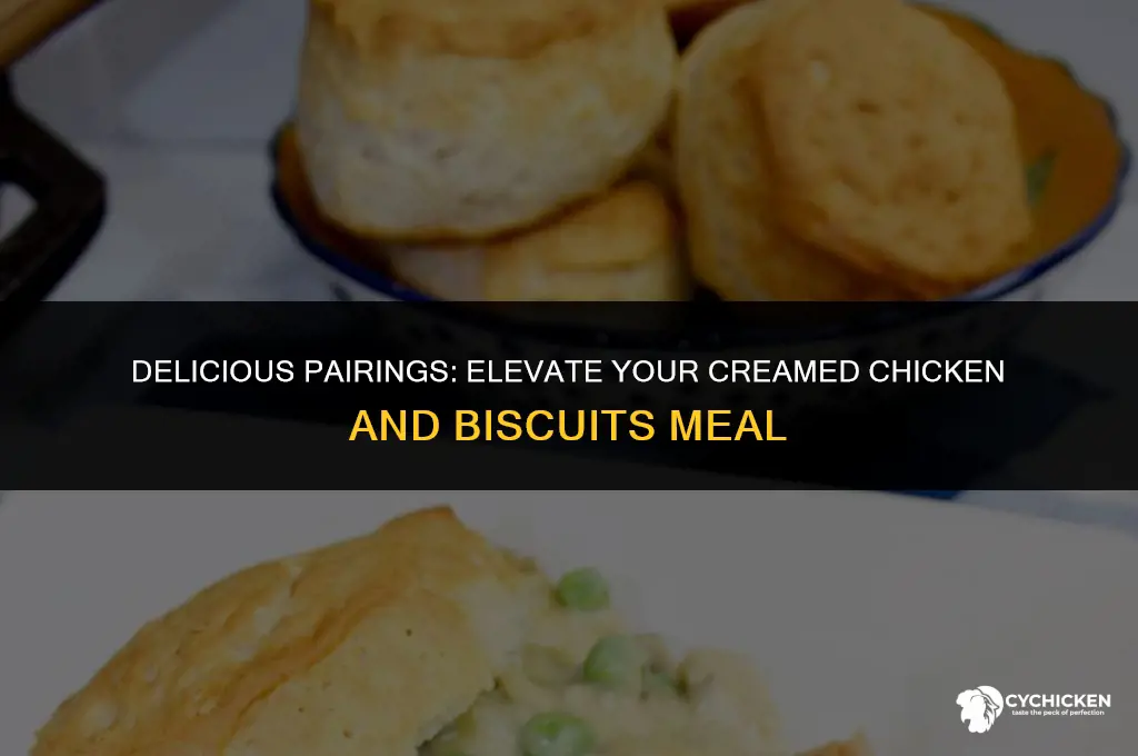 what to serve with creamed chicken and bisc