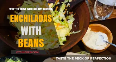 Delicious Sides to Complement Creamy Chicken Enchiladas with Beans