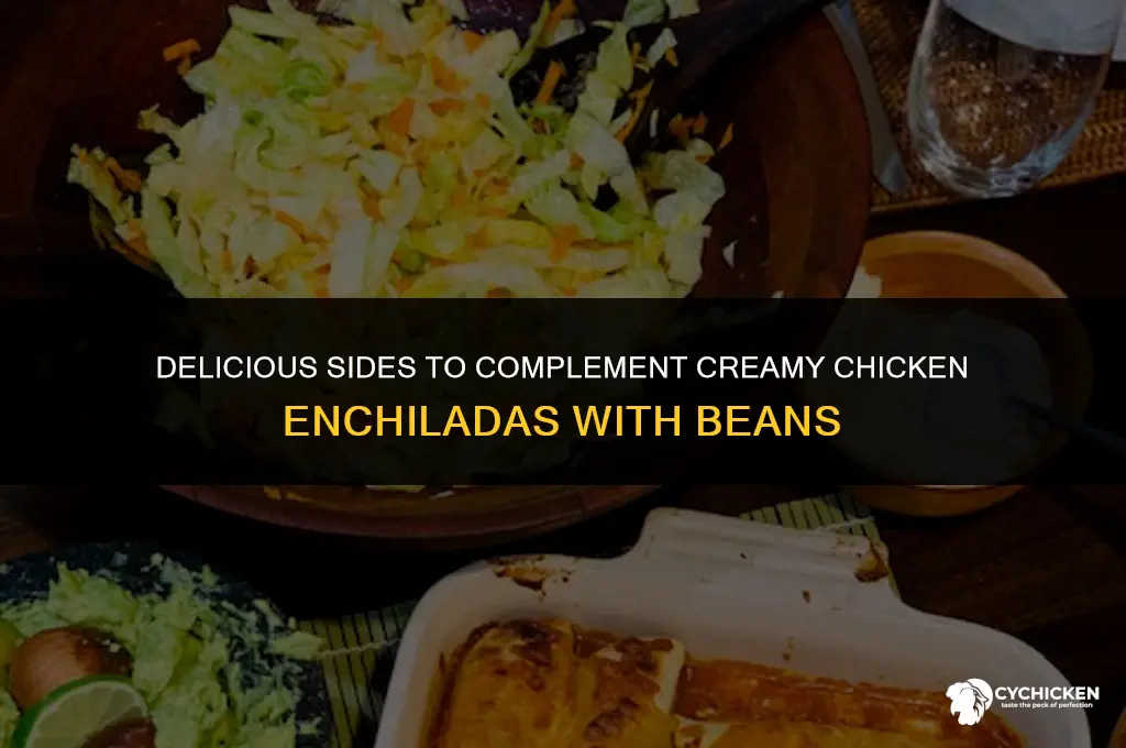 what to serve with creamy chicken enchiladas with beans